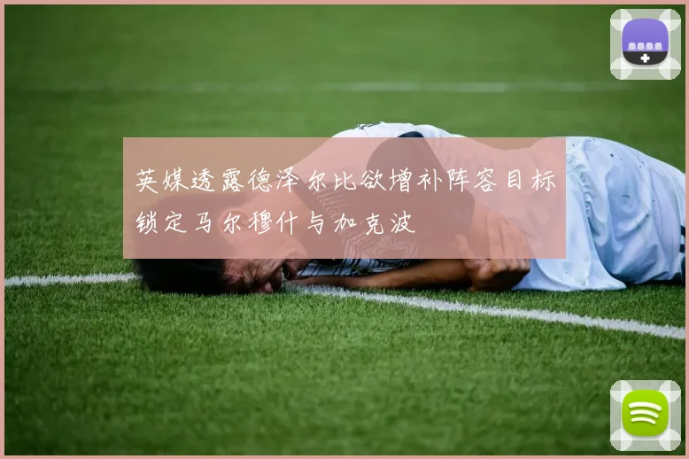 英媒透露德泽尔比欲增补阵容目标锁定马尔穆什与加克波